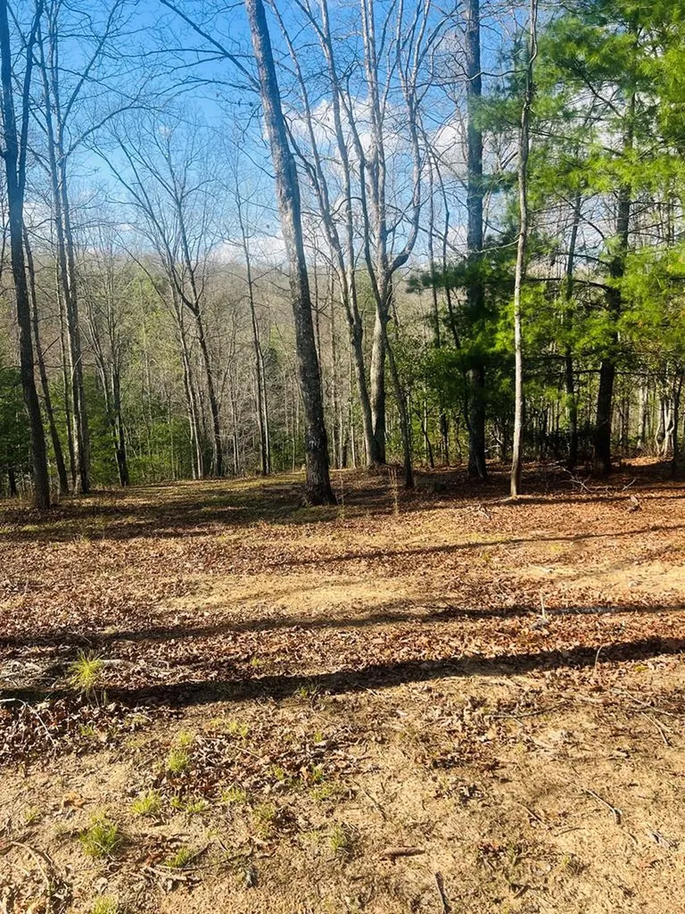00 Ford Lane Murphy NC 28906