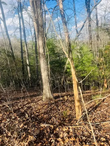 00 Ford Lane Murphy NC 28906