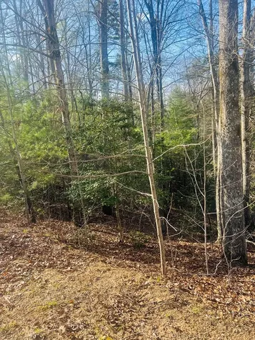 00 Ford Lane Murphy NC 28906
