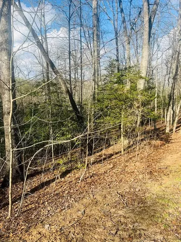 00 Ford Lane Murphy NC 28906