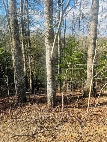 00 Ford Lane Murphy NC 28906