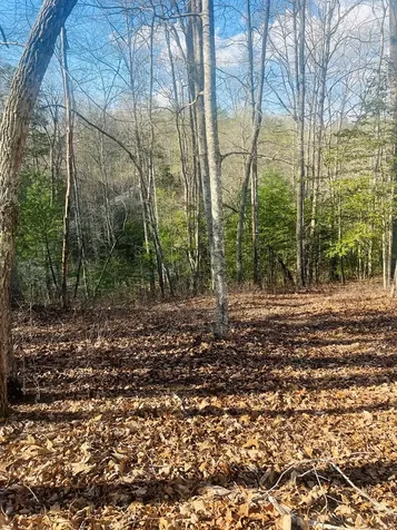 00 Ford Lane Murphy NC 28906