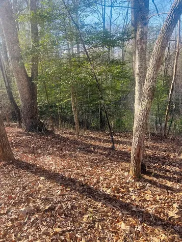 00 Ford Lane Murphy NC 28906