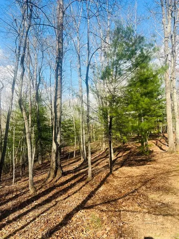 00 Ford Lane Murphy NC 28906