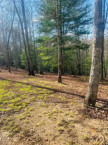 00 Ford Lane Murphy NC 28906