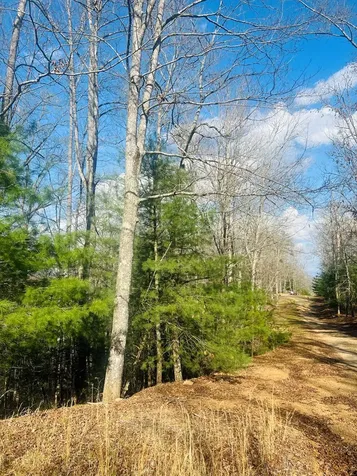 00 Ford Lane Murphy NC 28906