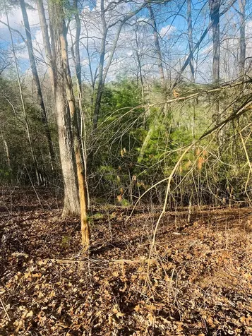 00 Ford Lane Murphy NC 28906