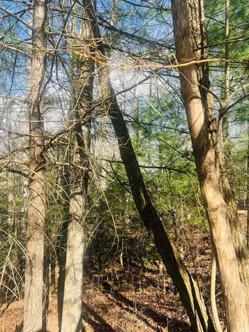 00 Ford Lane Murphy NC 28906