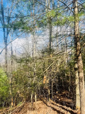 00 Ford Lane Murphy NC 28906