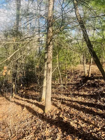 00 Ford Lane Murphy NC 28906