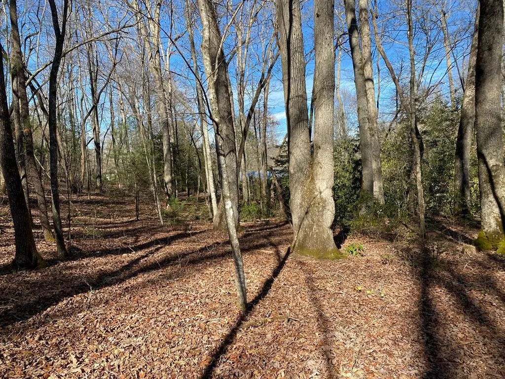 Tbd Collett Wood Cove Andrews NC 28901