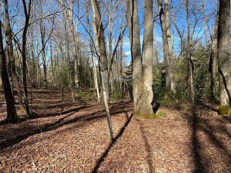Tbd Collett Wood Cove Andrews NC 28901