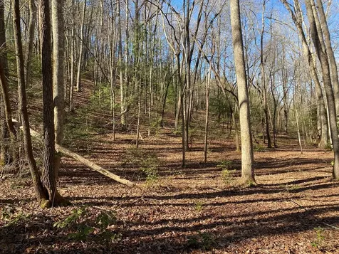 Tbd Collett Wood Cove Andrews NC 28901