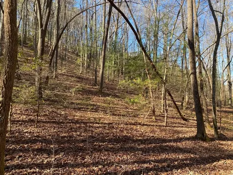 Tbd Collett Wood Cove Andrews NC 28901