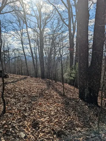 902 Mountain Top Drive Murphy NC 28906