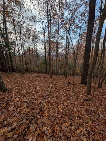 902 Mountain Top Drive Murphy NC 28906