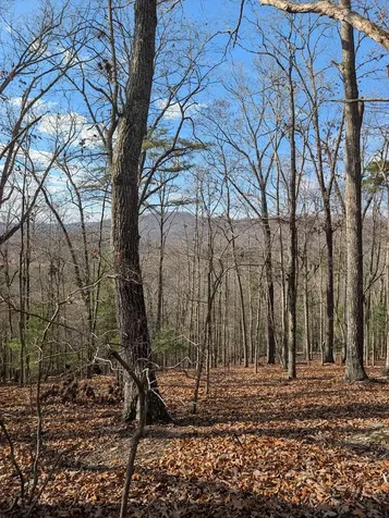902 Mountain Top Drive Murphy NC 28906