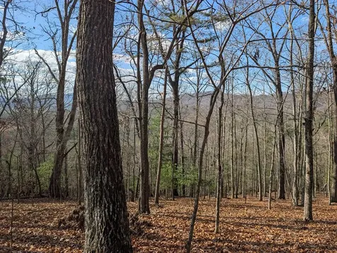 902 Mountain Top Drive Murphy NC 28906