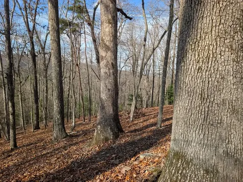 902 Mountain Top Drive Murphy NC 28906