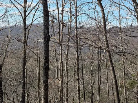 902 Mountain Top Drive Murphy NC 28906