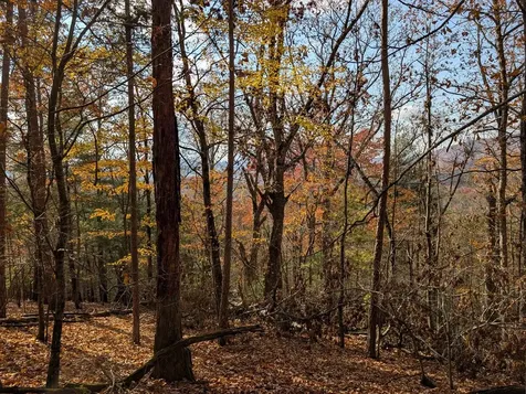 902 Mountain Top Drive Murphy NC 28906