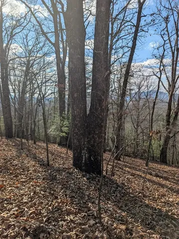 902 Mountain Top Drive Murphy NC 28906