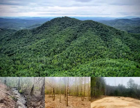 0 Flea Mountain Road Murphy NC 28906