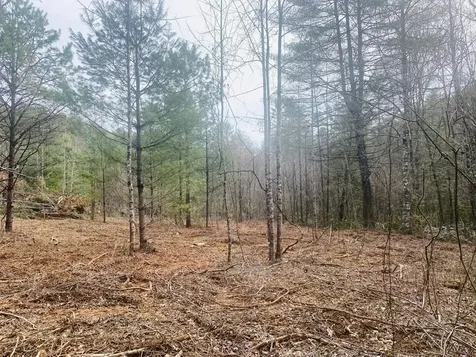 0 Flea Mountain Road Murphy NC 28906