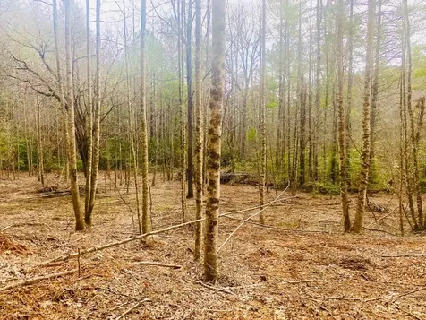 0 Flea Mountain Road Murphy NC 28906