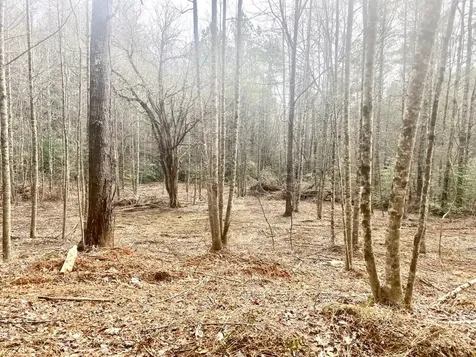 0 Flea Mountain Road Murphy NC 28906
