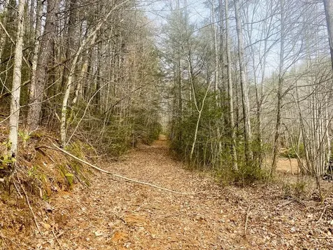 0 Flea Mountain Road Murphy NC 28906