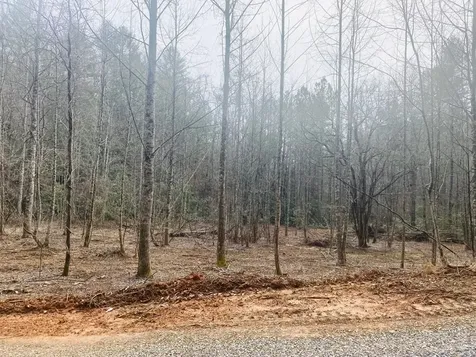 0 Flea Mountain Road Murphy NC 28906