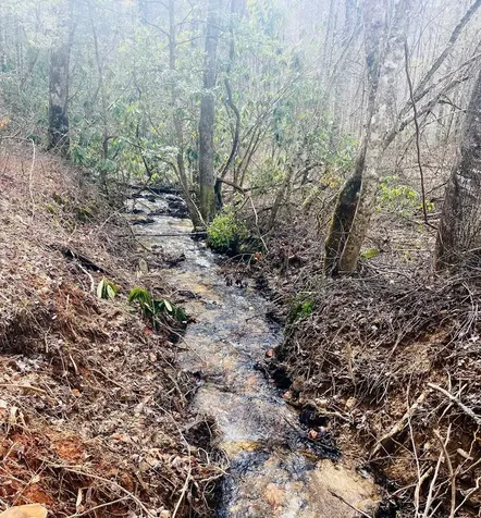 0 Flea Mountain Road Murphy NC 28906