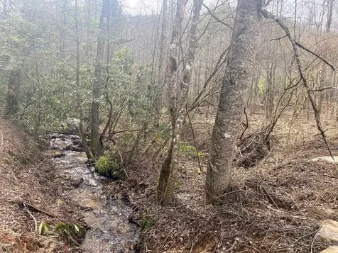 0 Flea Mountain Road Murphy NC 28906