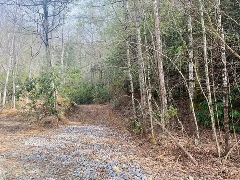 0 Flea Mountain Road Murphy NC 28906