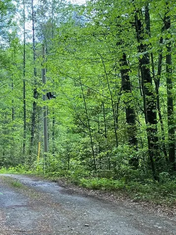 0 Flea Mountain Road Murphy NC 28906
