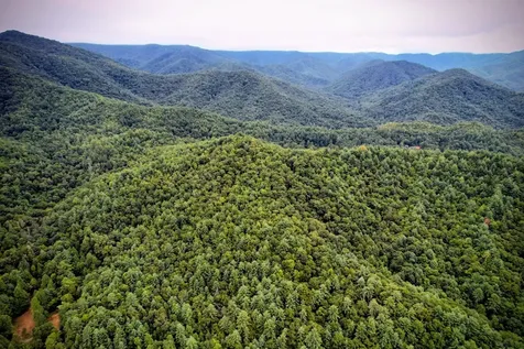0 Flea Mountain Road Murphy NC 28906