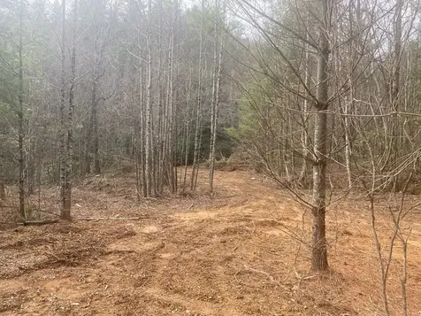 0 Flea Mountain Road Murphy NC 28906