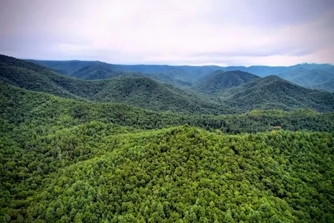 0 Flea Mountain Road Murphy NC 28906