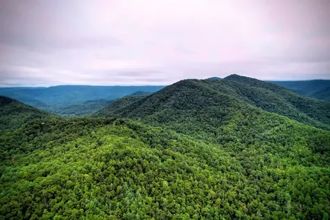 0 Flea Mountain Road Murphy NC 28906