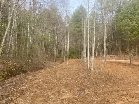 0 Flea Mountain Road Murphy NC 28906