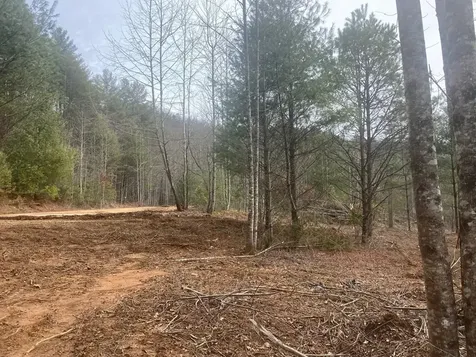 0 Flea Mountain Road Murphy NC 28906
