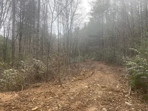 0 Flea Mountain Road Murphy NC 28906