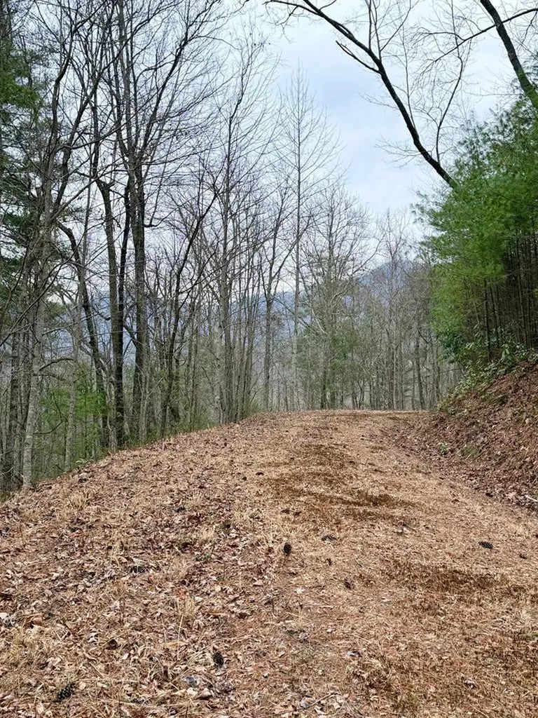 46/51 Big Secret Lane Murphy NC 28906