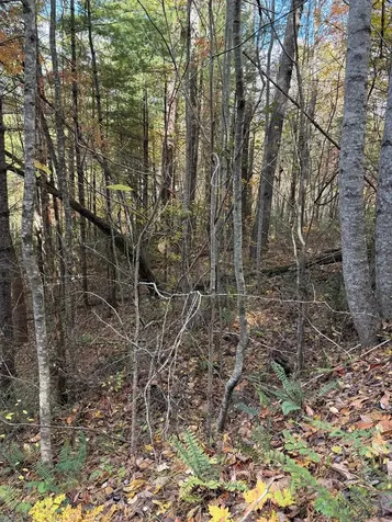 46/51 Big Secret Lane Murphy NC 28906