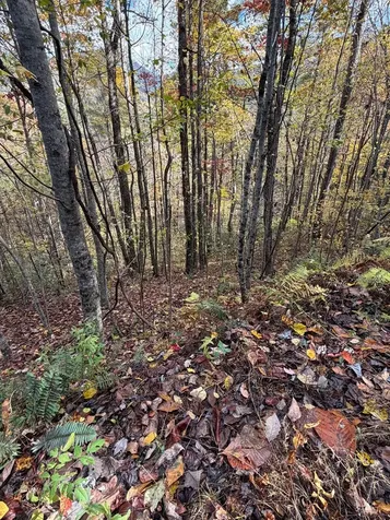 46/51 Big Secret Lane Murphy NC 28906