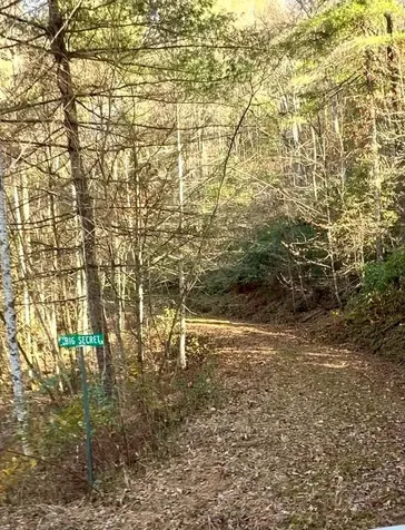 46/51 Big Secret Lane Murphy NC 28906