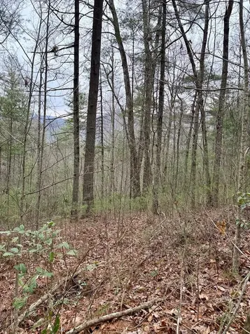 46/51 Big Secret Lane Murphy NC 28906