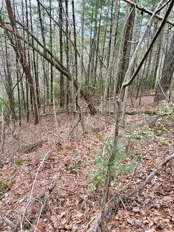 46/51 Big Secret Lane Murphy NC 28906