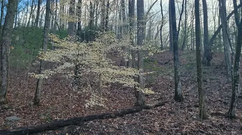 27 Page Lane Murphy NC 28906